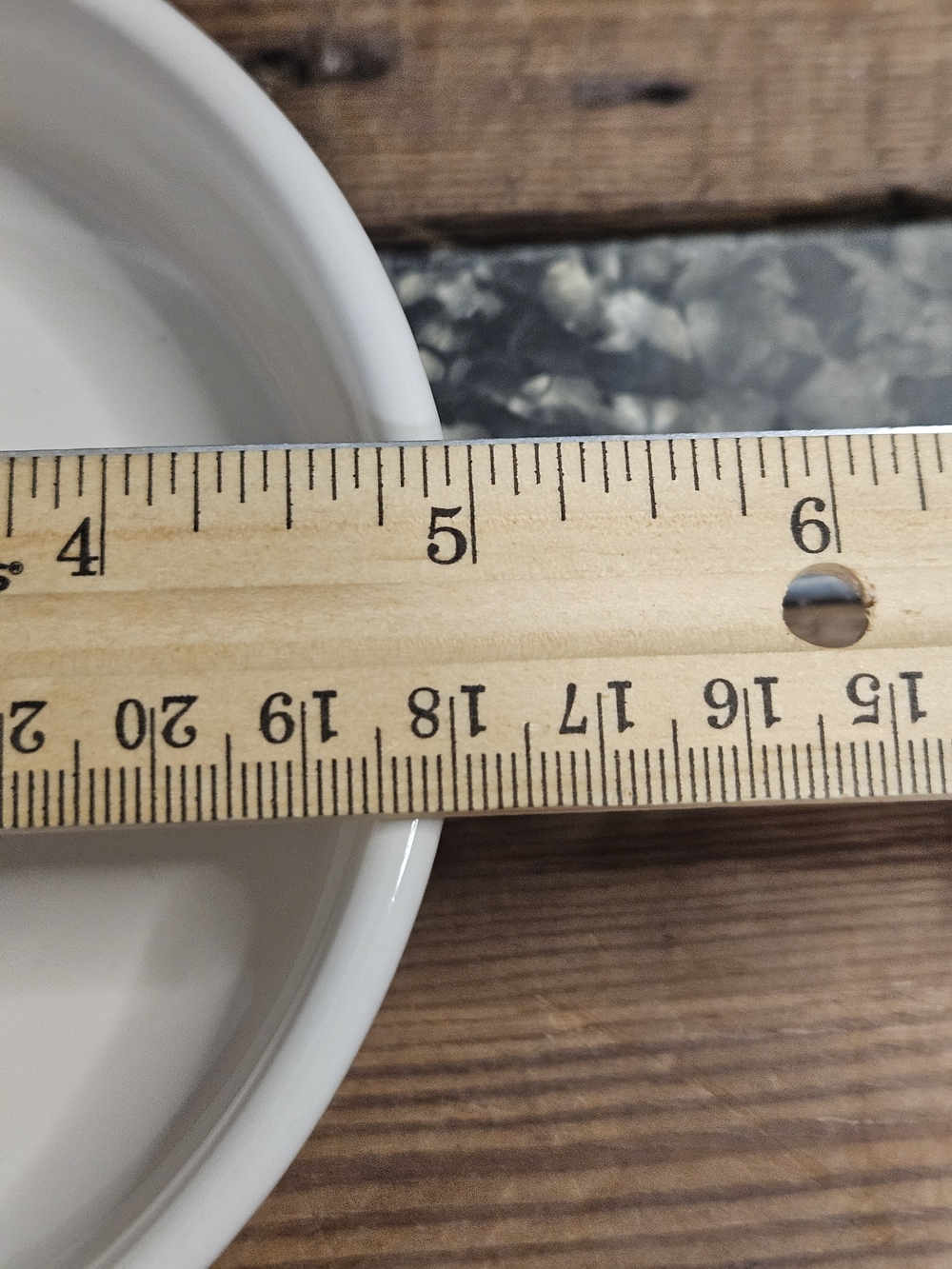 Rae Dunn White Ceramic Pet Bowl with "SPOILED" Lettering - Picture 4 of 6